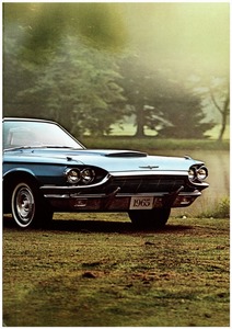 1965 Ford Thunderbird-09.jpg